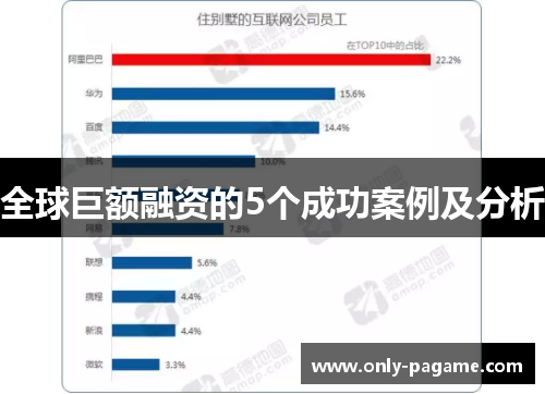 全球巨额融资的5个成功案例及分析