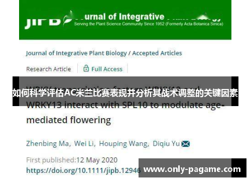 如何科学评估AC米兰比赛表现并分析其战术调整的关键因素