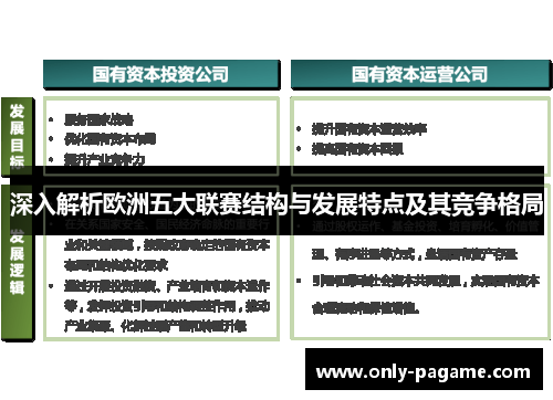 深入解析欧洲五大联赛结构与发展特点及其竞争格局