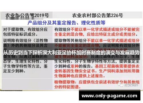 从历史到当下探析澳大利亚足协杯加时赛制度的演变与发展趋势