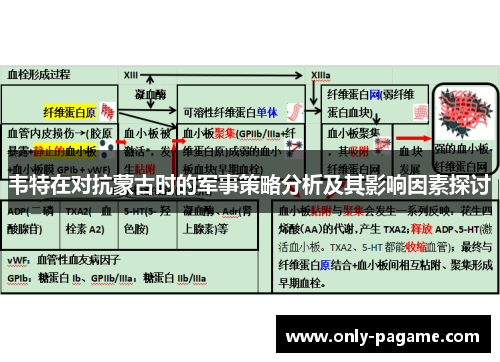 韦特在对抗蒙古时的军事策略分析及其影响因素探讨