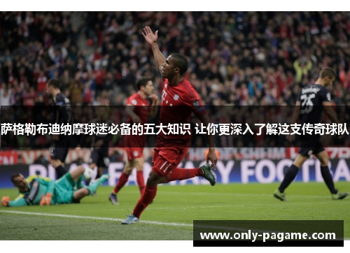 萨格勒布迪纳摩球迷必备的五大知识 让你更深入了解这支传奇球队