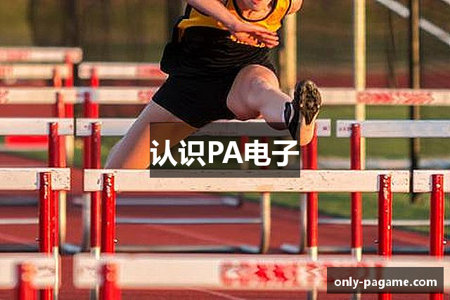 认识PA电子